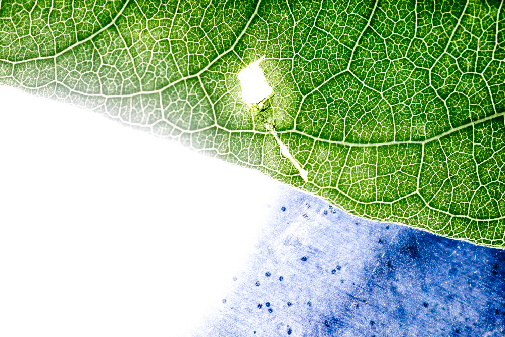 Sustainability and Green Energy
